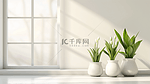 白色简约室内场景清新花瓶盆栽的背景7