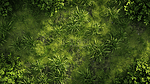 绿色草地俯视装饰背景3