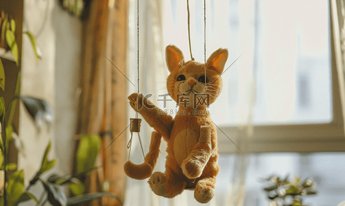 萌猫摄影照片室内家居环境宠物布偶猫
