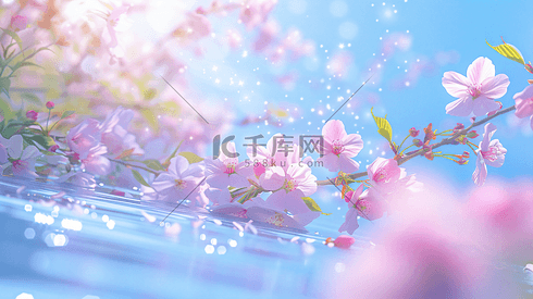 盛开的美丽樱花摄影31