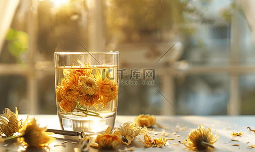 菊花茶插画摄影照片带工具的玻璃杯中的菊花茶