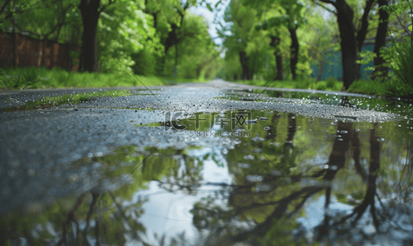 道路上的水坑湿沥青春天的天气