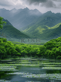 阴天沼泽树木的山景风景照片