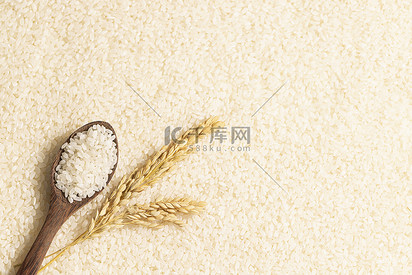 大米稻穗珍惜粮食创意