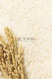 稻穗大米粮食素材