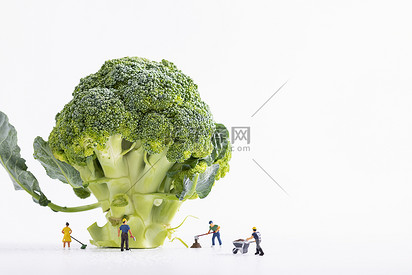 西兰花蔬菜微缩创意图片