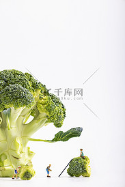 青花菜食材白色背景