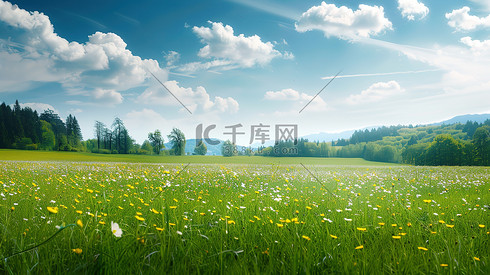 夏天阳光草地草坪高清图片