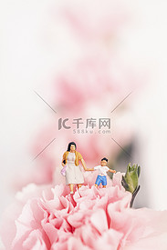 康乃馨花朵图片白色背景