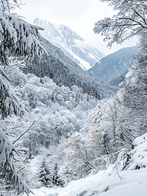 大雪过后的山