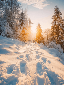 清晨森林里积雪的山丘上有足迹