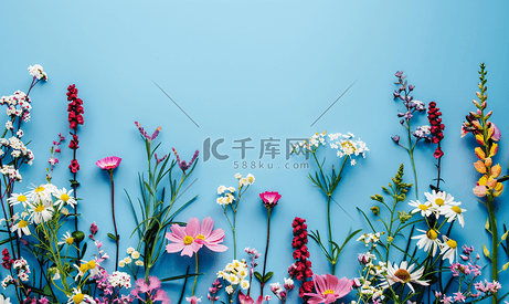 蓝色背景顶视图上的平躺花朵横幅