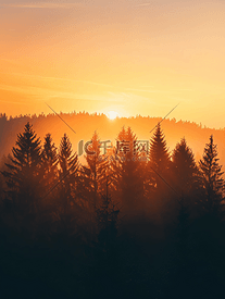 日落穿过森林山脊的剪影