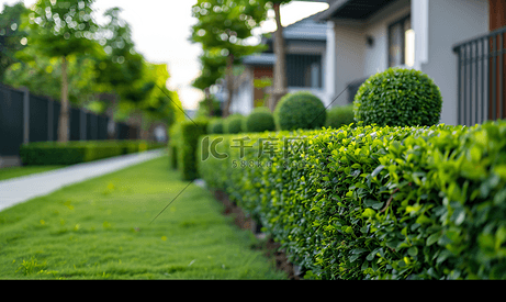 房子前院修剪整齐的灌木丛、绿篱和草坪景观设计