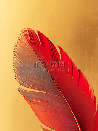 金色背景下红鸟羽毛的极端特写镜头