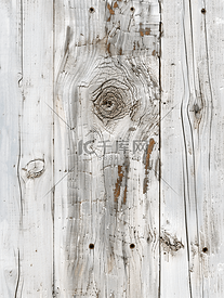 白色旧木材纹理与结