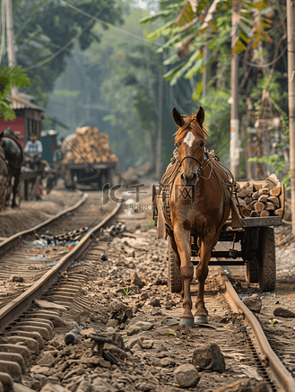孟加拉国卡尔蒂克普尔多哈尔村一辆货运马车正在运送一名劳工