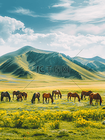 新疆琼库什台草原上吃草的马匹