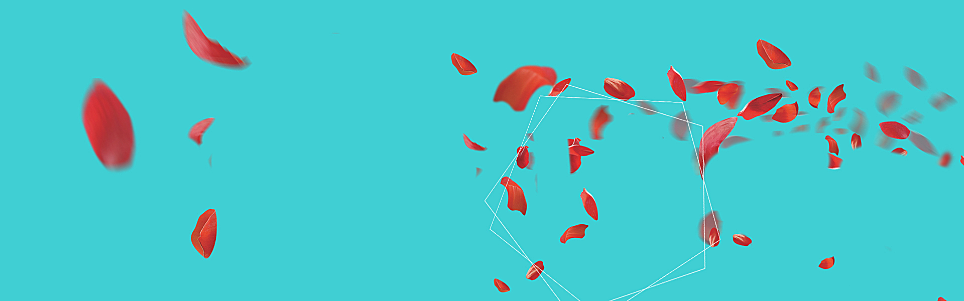 女装广告图高清浪漫花瓣背景素材下载_1920*600像素psd格式-90设计