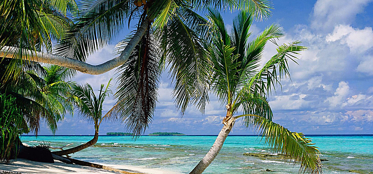 大海沙滩淘宝海报背景banner
