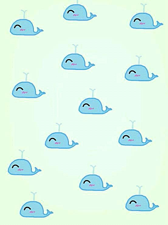 文艺可爱卡通鲸鱼