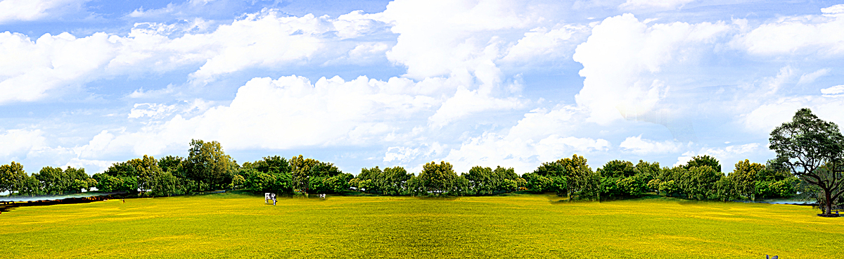 綠色草地環保banner背景