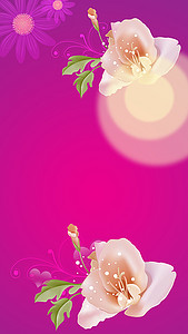 婚礼请柬矢量H5背景素材背景图片素材