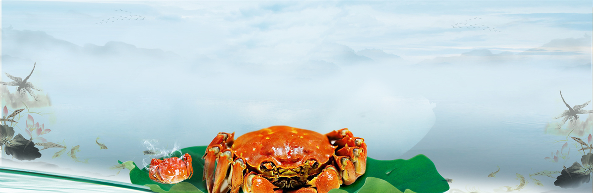 大气清新食物海报banner背景