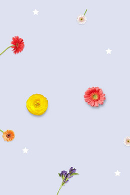 【紫色纯色背景图片】_紫色纯色高清背景素材