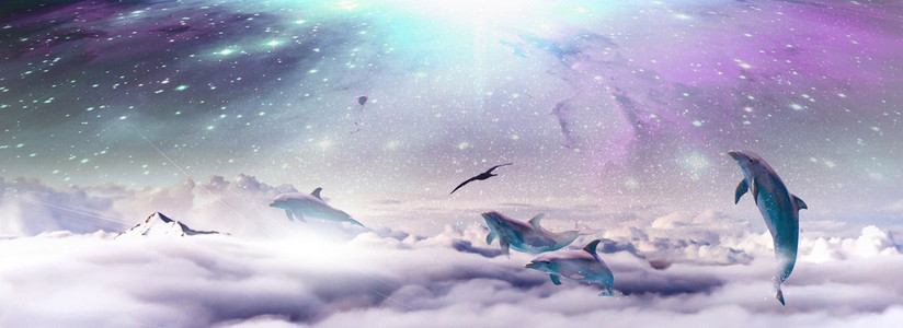 星空唯美梦幻海豚背景图片免费下载_广告背景