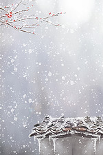 12月背景图片 12月背景素材图片 千库网 12月背景图片 12月背景素材图片 千库网