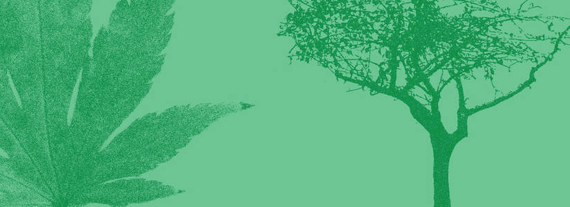 绿色花草树木背景图背景图片免费下载_广告背