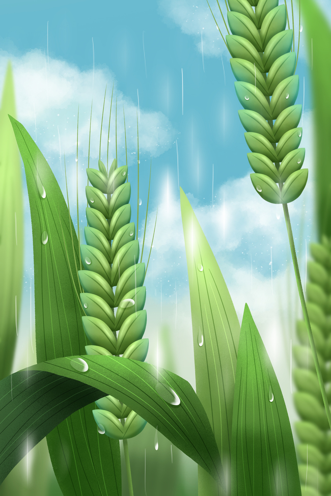 多雨(图1) 多雨