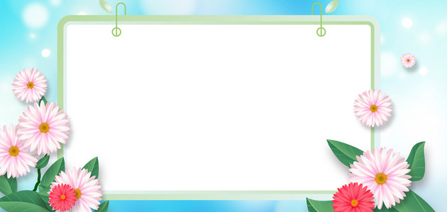 小雏菊菊花边框清新