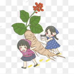 人参和娃娃png