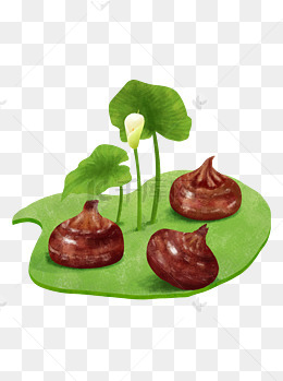 处暑马蹄手绘插画