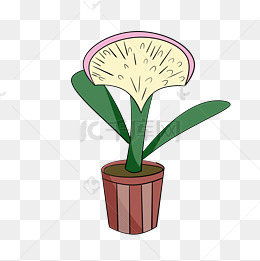 世界动物日保护动物q版素材图片免费下载_高清psd_千库网(图片编号112