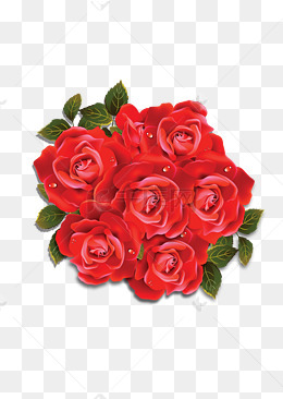 玫瑰花素材