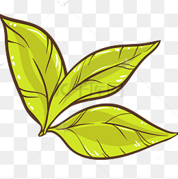 【绿茶茶叶矢量插画素材】免费下载_绿茶茶叶矢量插画图片大全_千库网