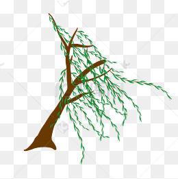 绿色垂柳飘扬插画