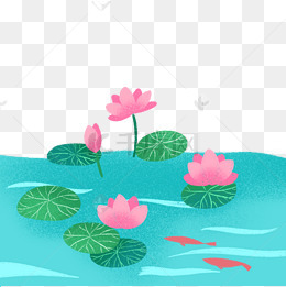 夏日小清新荷花池塘