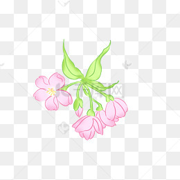 母亲节感恩花手绘卡通清新免抠素材