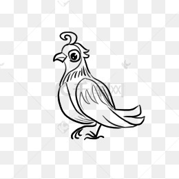 儿童节简笔速写手绘涂鸦百灵鸟