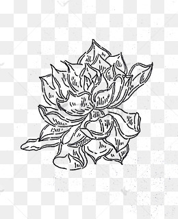 黑白装饰花卉