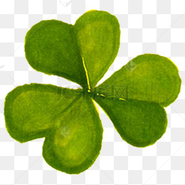 绿色的叶子免抠图