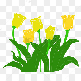 漂亮的绿色花朵免抠图