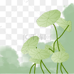 绿色荷叶水珠荷叶叶子卡通风景