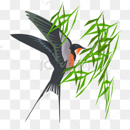 春季飞翔的小燕子插画