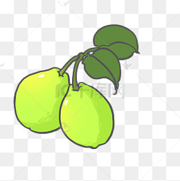 梨子手绘png