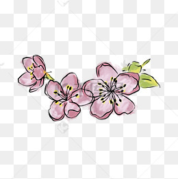 手绘晕染一朵樱花